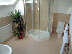 Albany House - En-suite