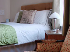 Coast Sage Room - King Bed