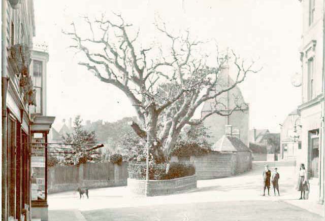 Bexhill Old Town Circa 1900