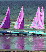 Sails at Sunset