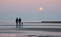 A Moonlight Stroll on the Beach