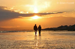 A Stroll Along The Beach