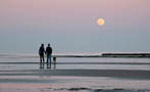 Moonlight Beach Stroll