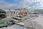 A Winter Scene