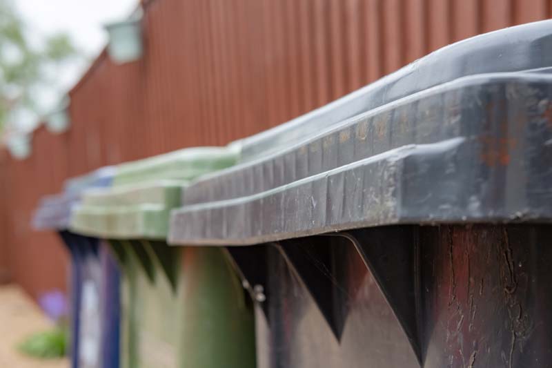 Waste and recycle bins