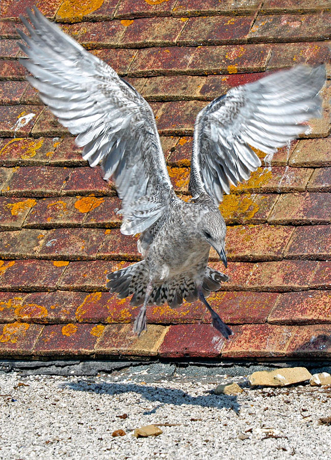Lift off