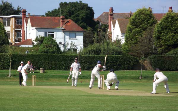 Cricket at The Polegrove